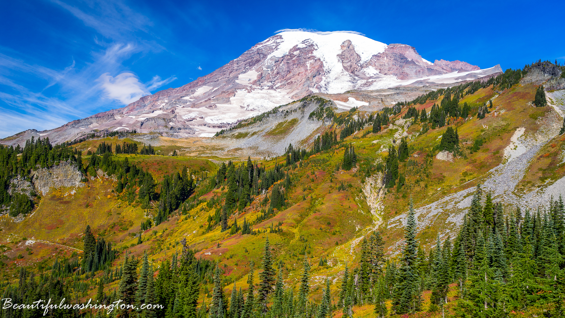 Photo from Washington State