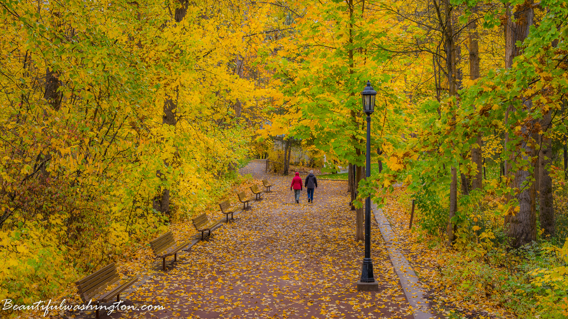 Photo from Washington State