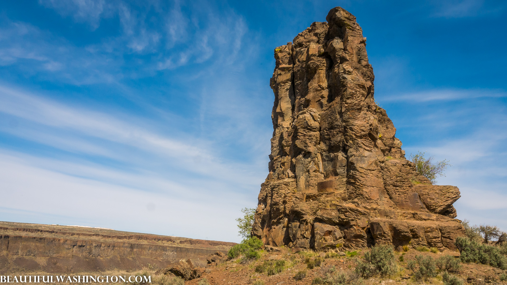 Photo from Washington State