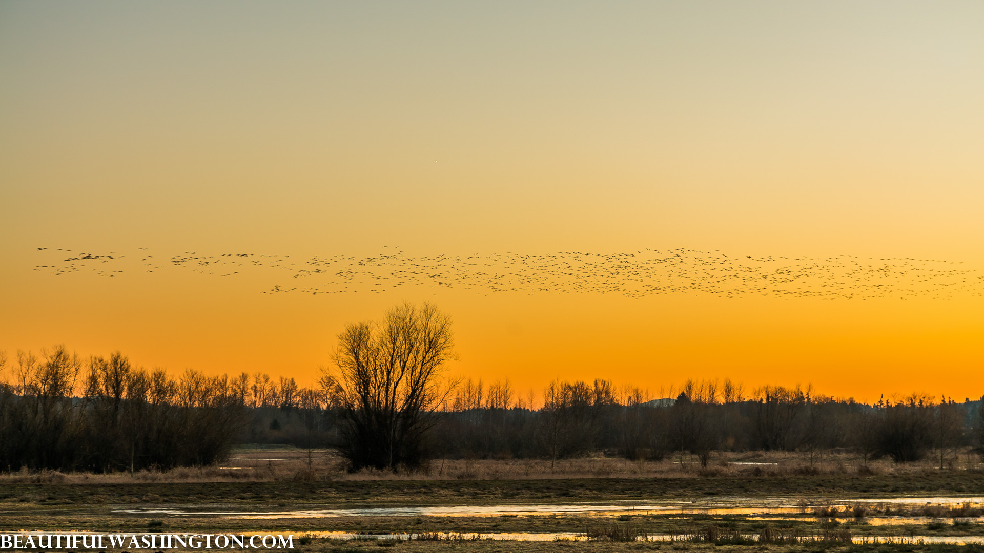 Photo from Washington State