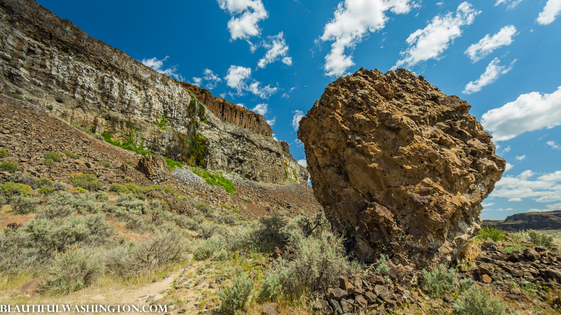 Photo from Washington State
