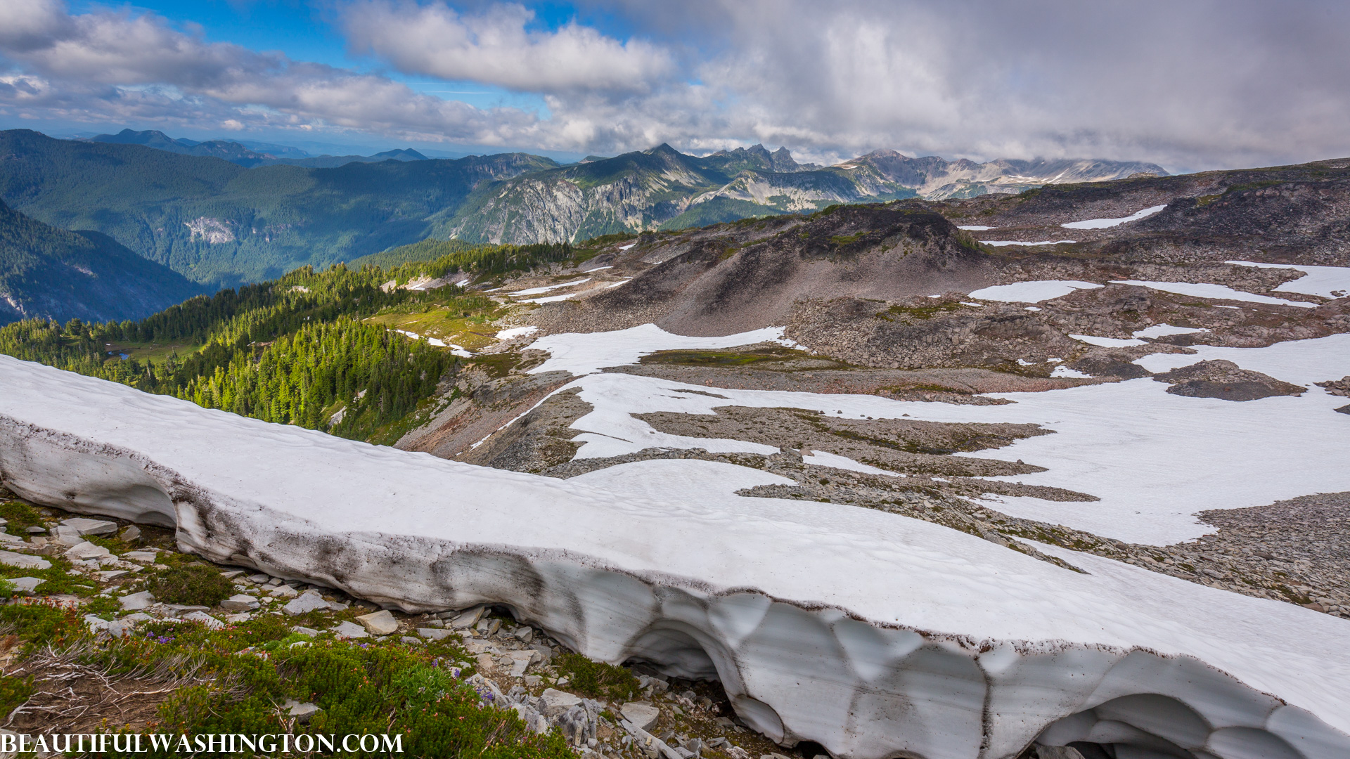 Photo from Washington State