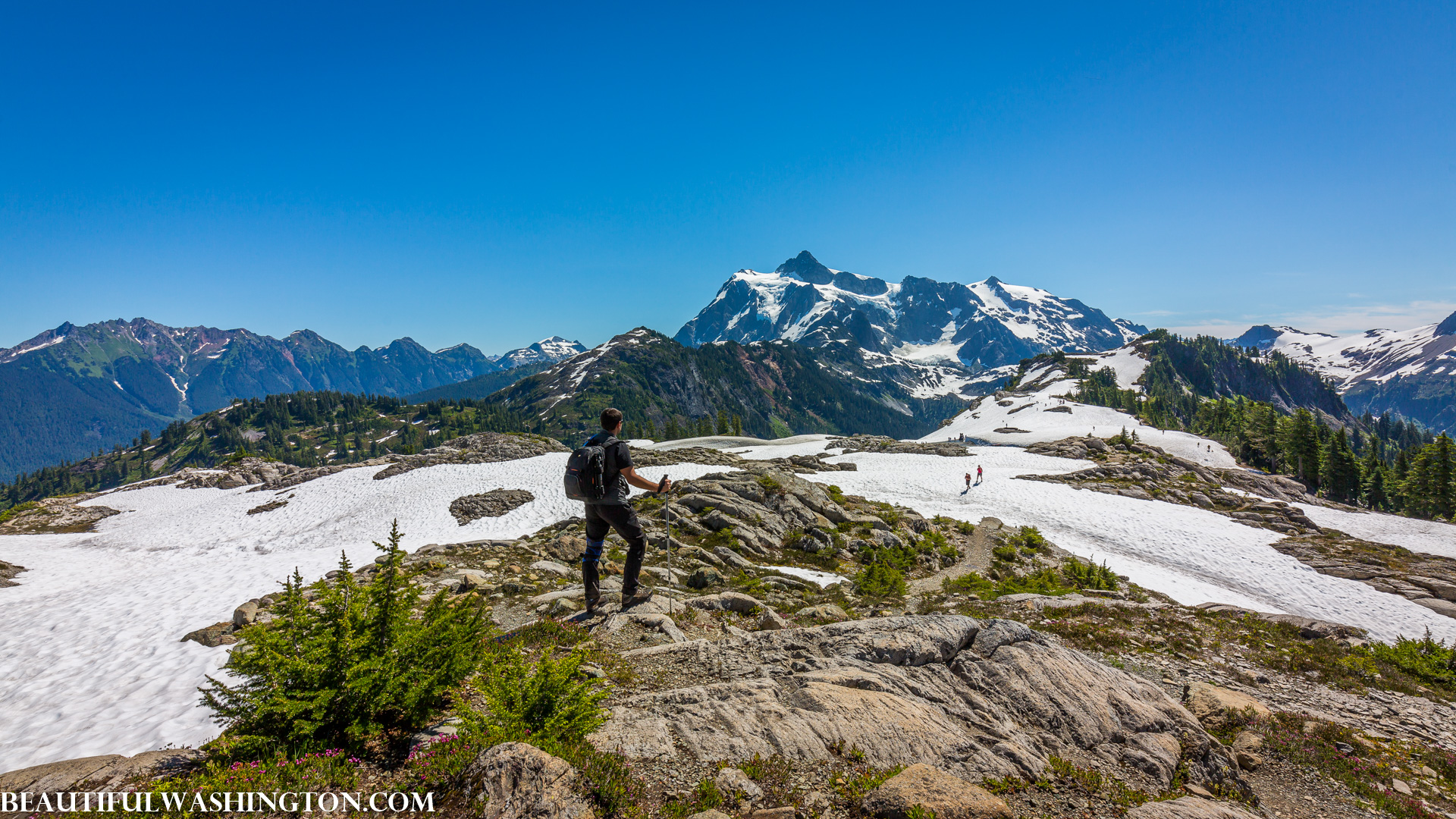Photo from Washington State