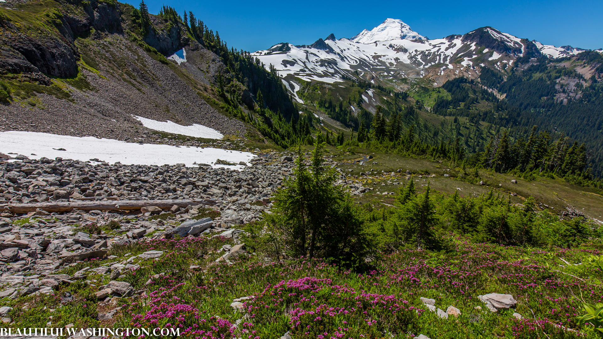 Photo from Washington State