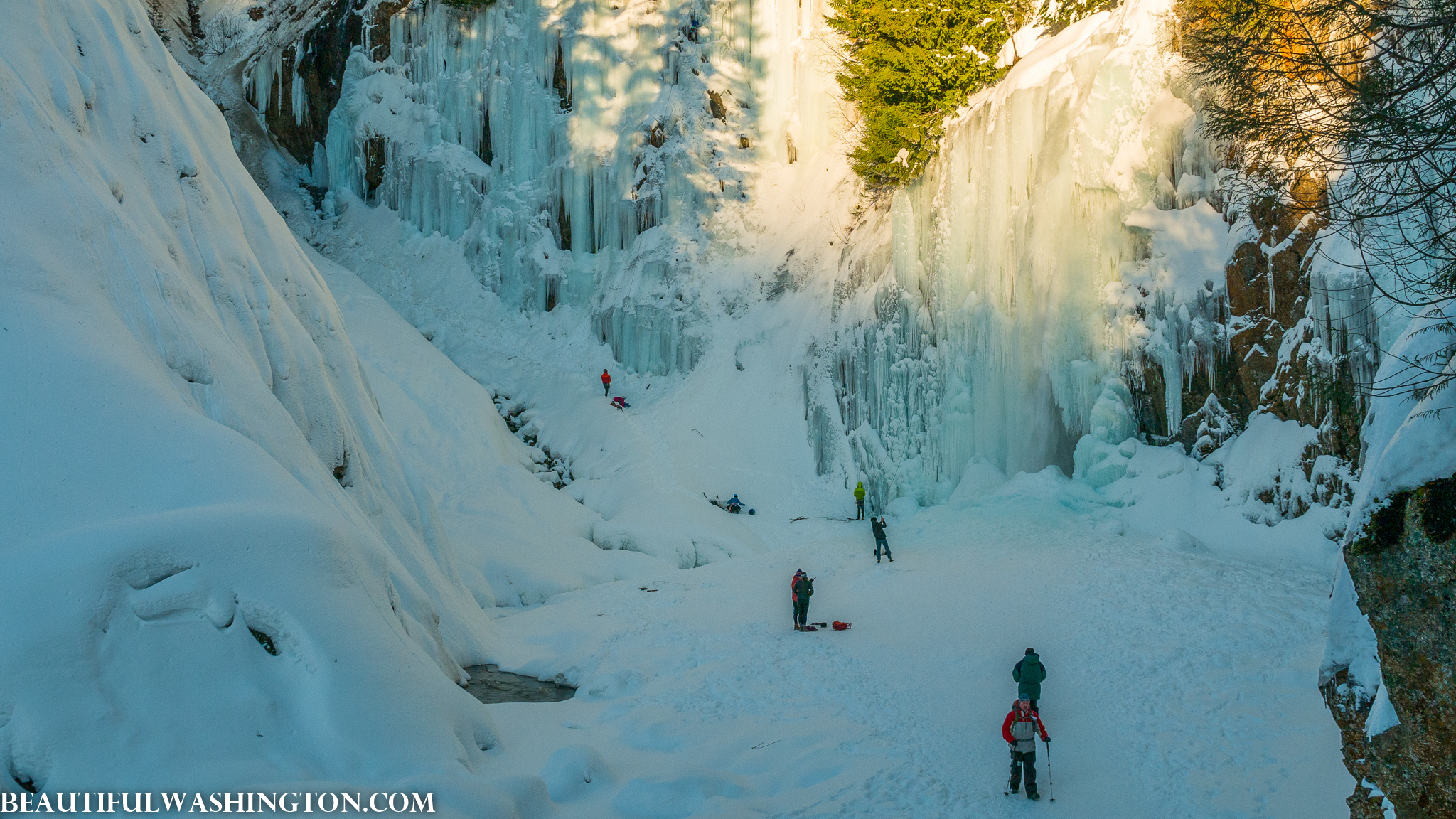 Photo from Washington State