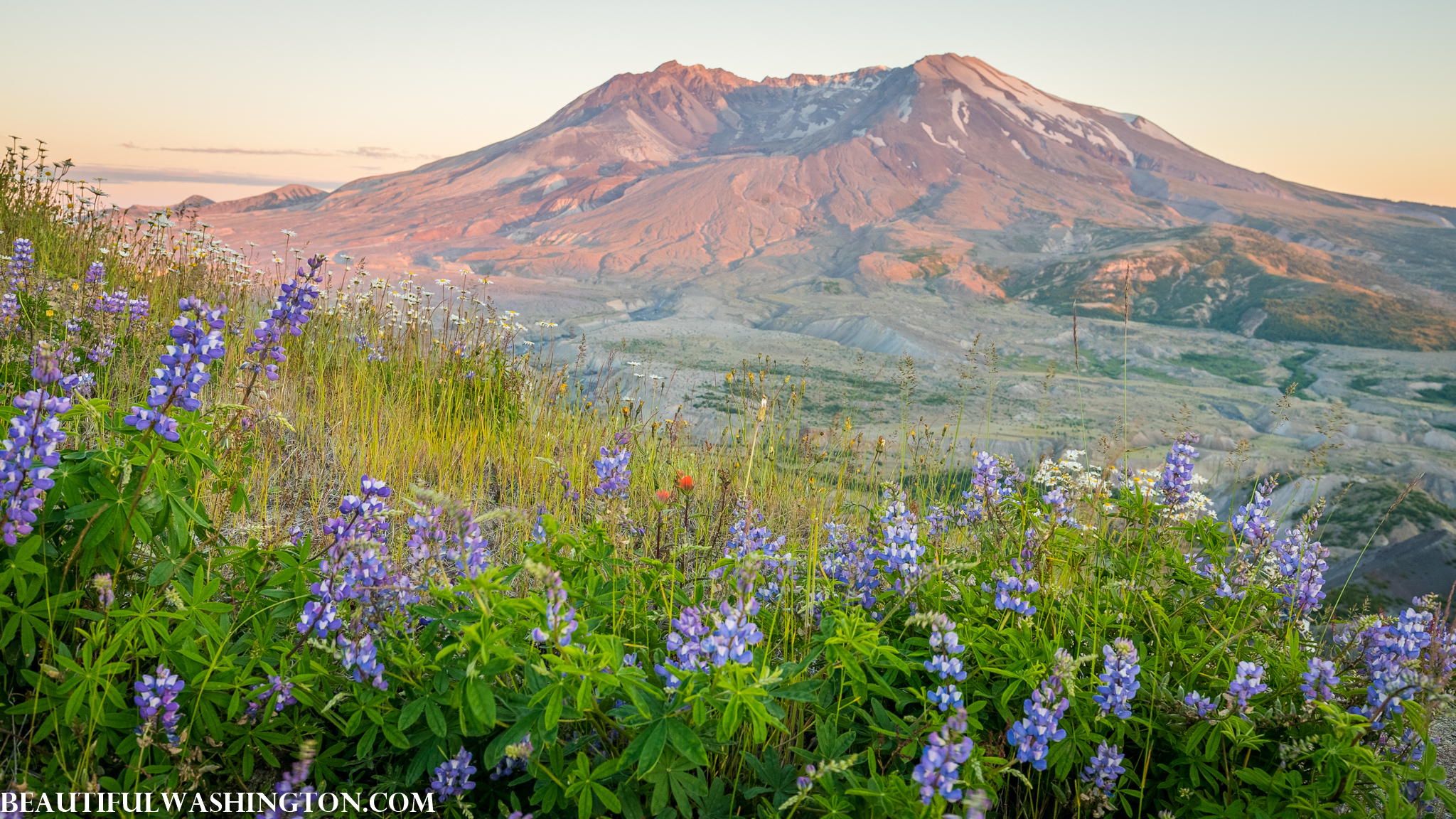 Photo from Washington State