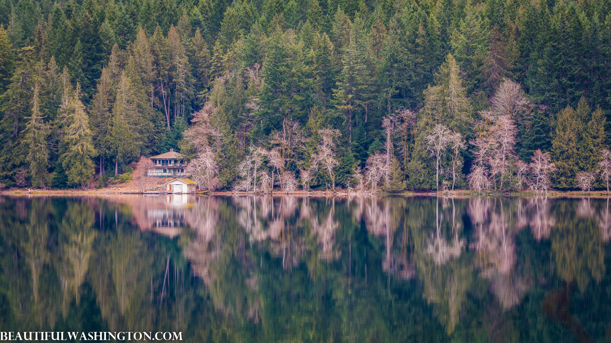 Photo from Washington State