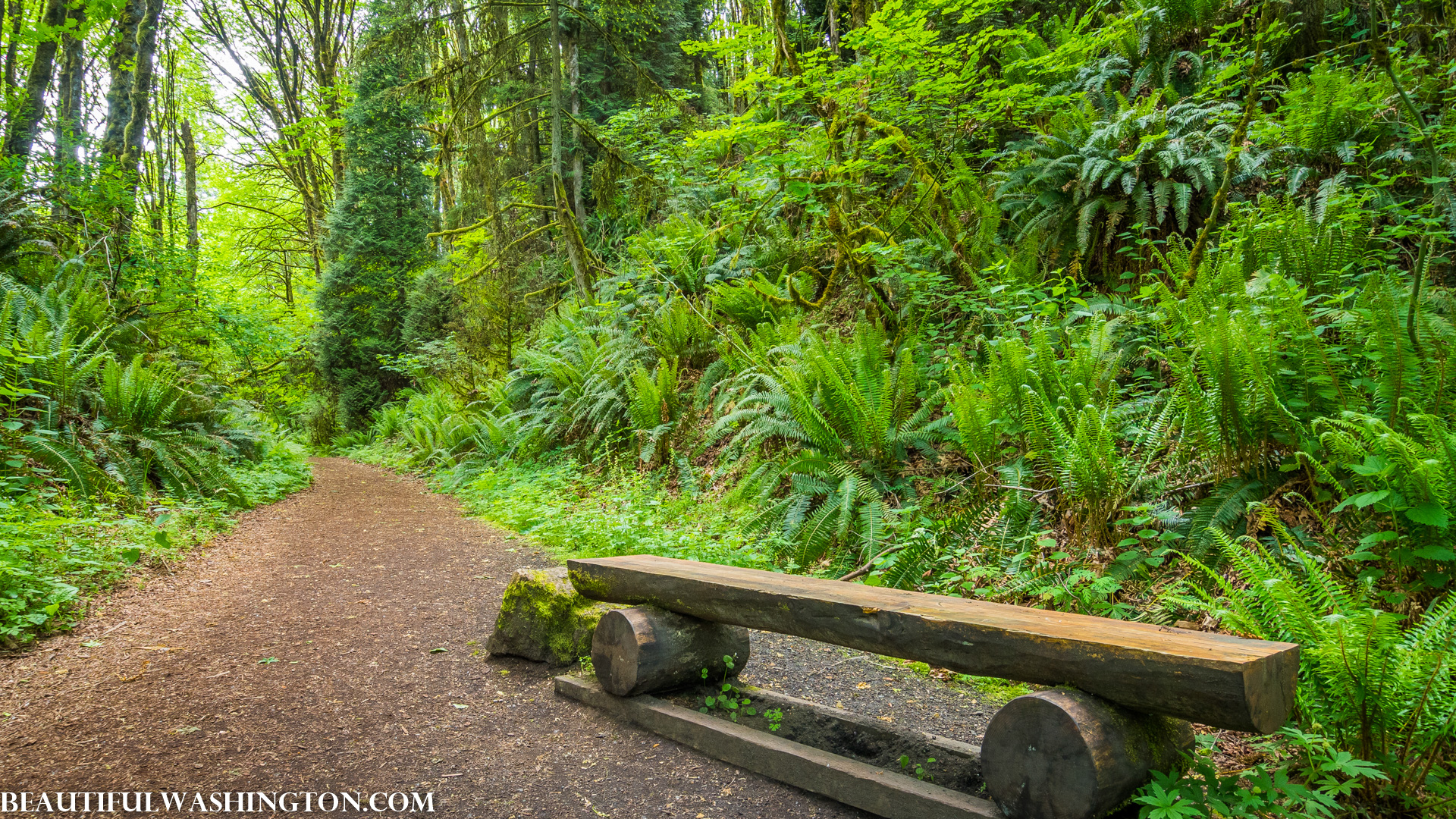 Photo from Washington State