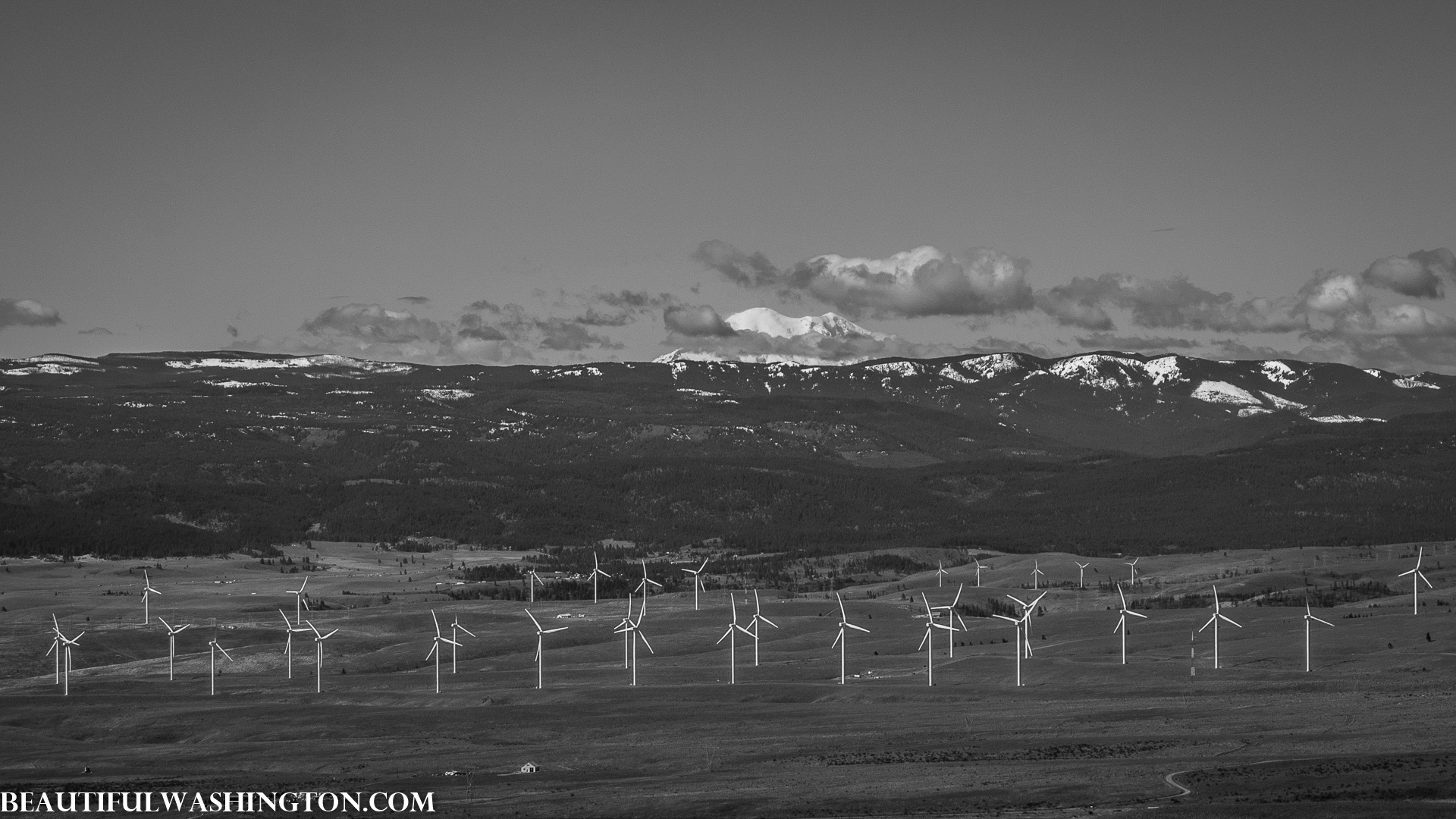 Photo from Washington State