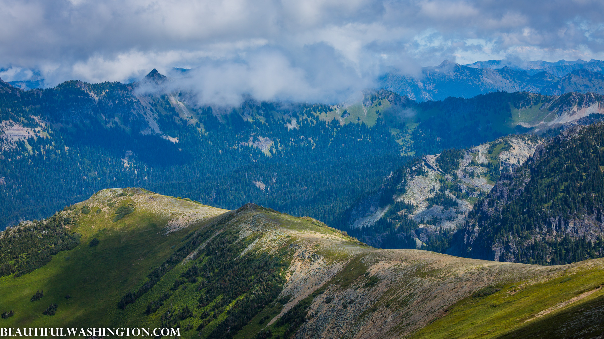 Photo from Washington State