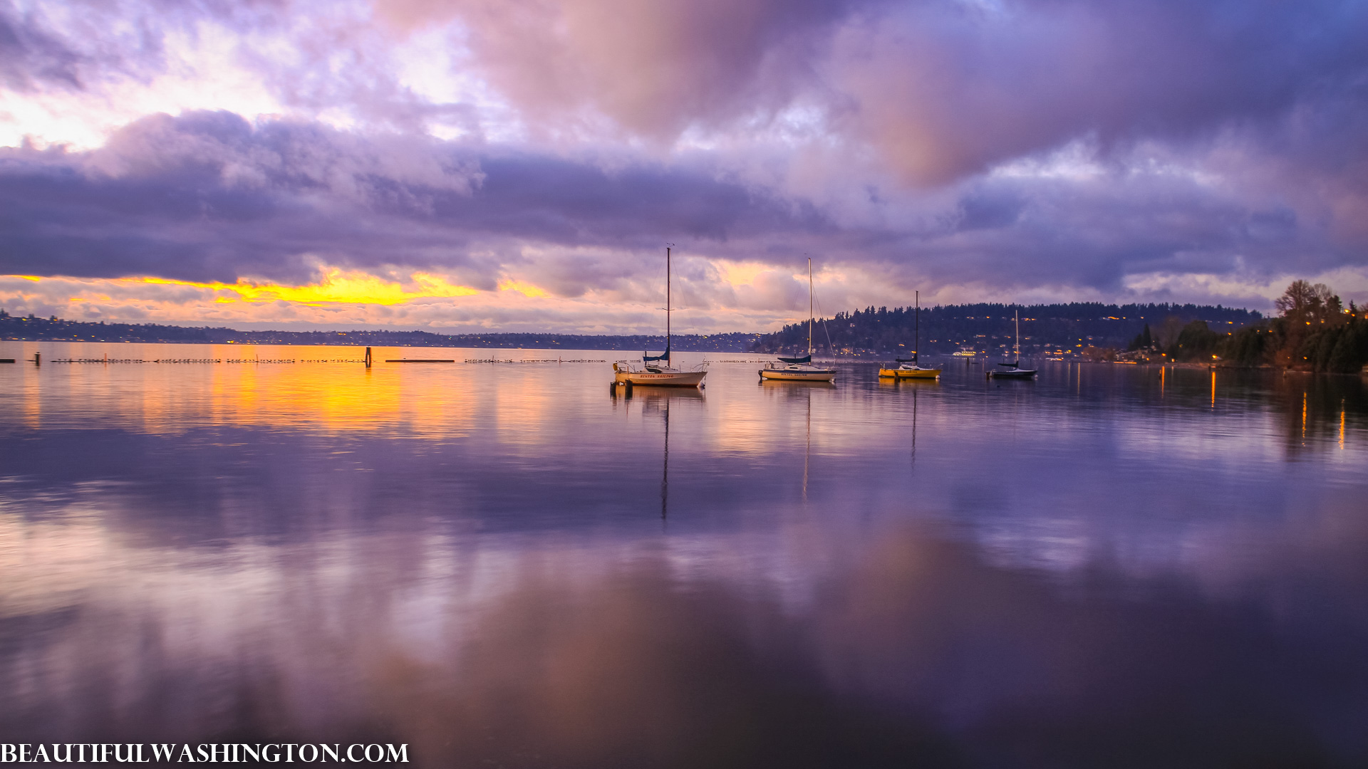 Photo from Washington State
