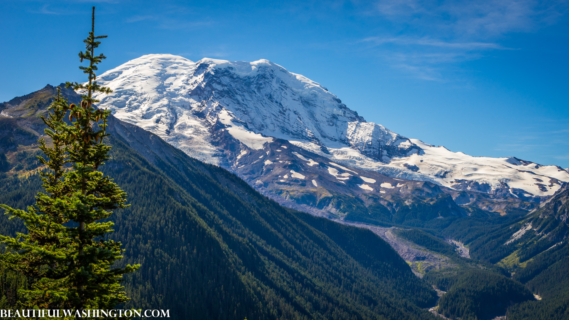 Photo from Washington State