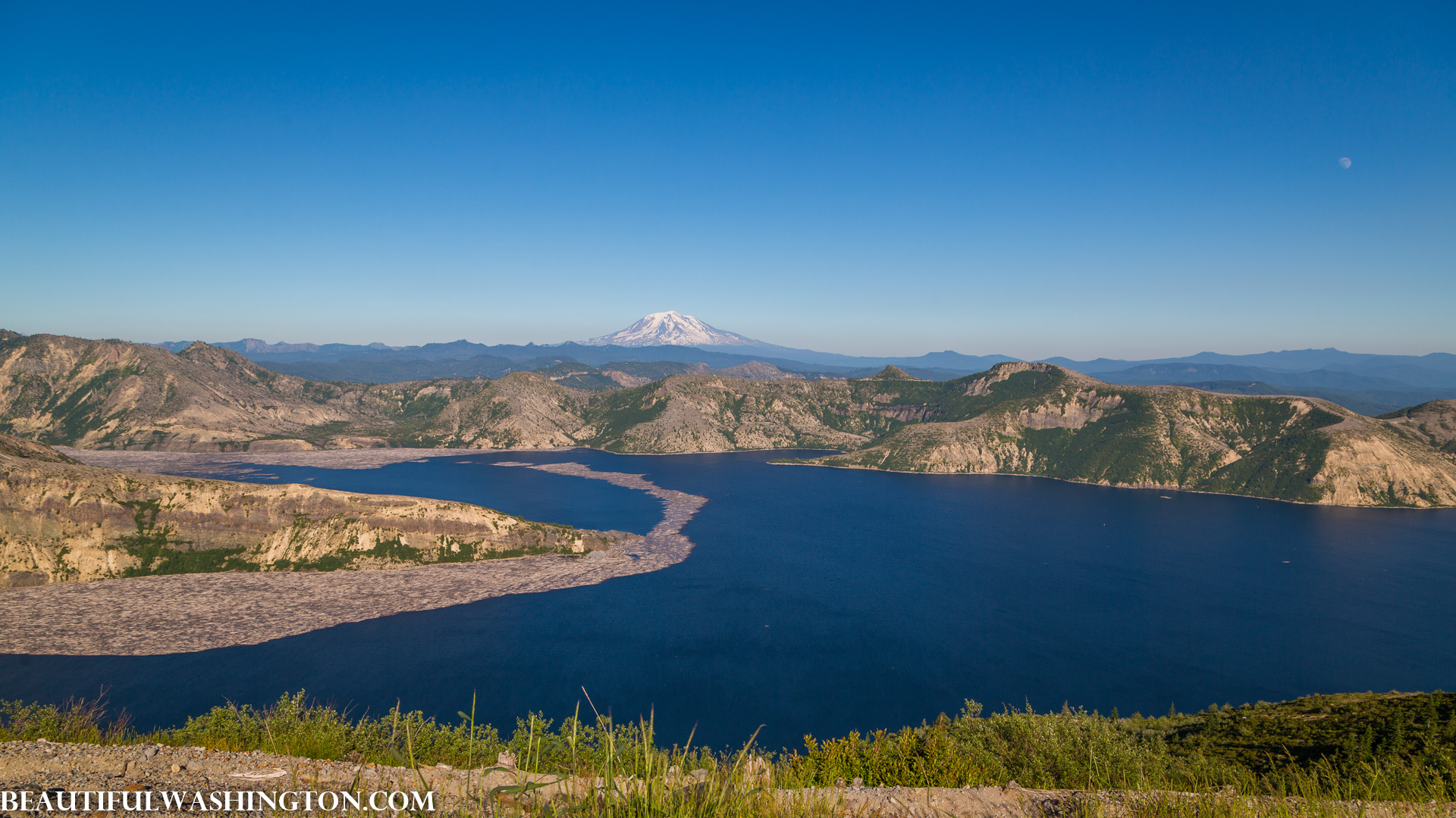 Photo from Washington State