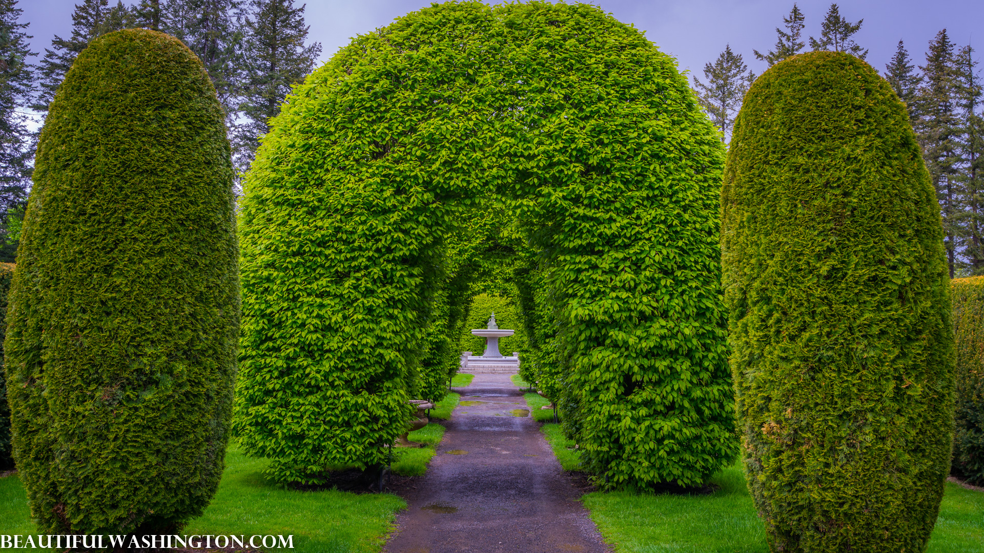 Photo from Washington State