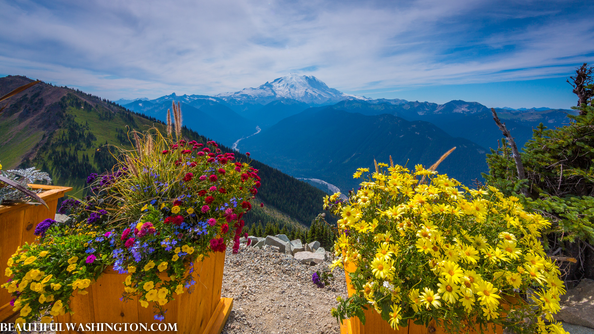 Photo from Washington State