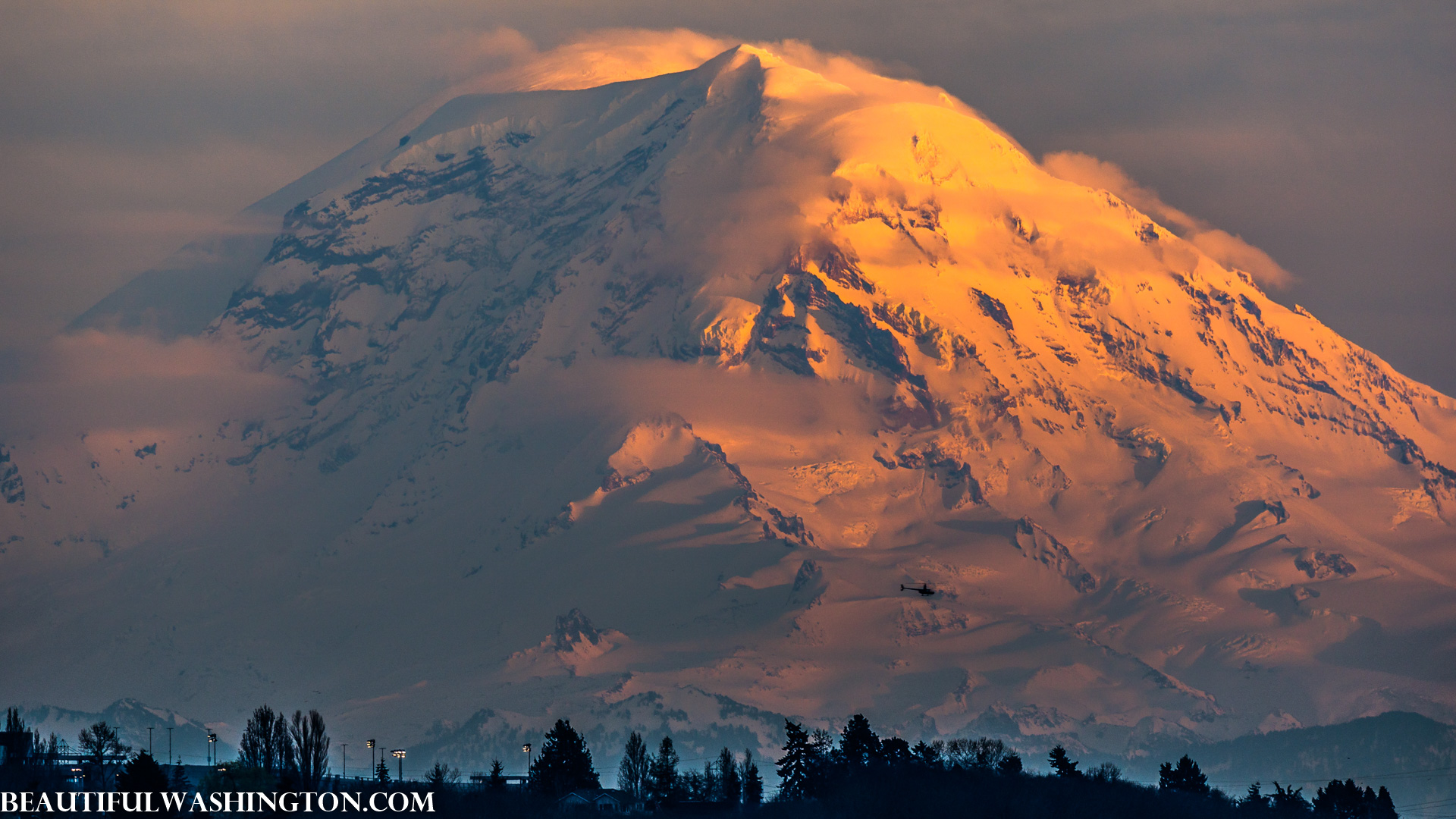 Photo from Washington State