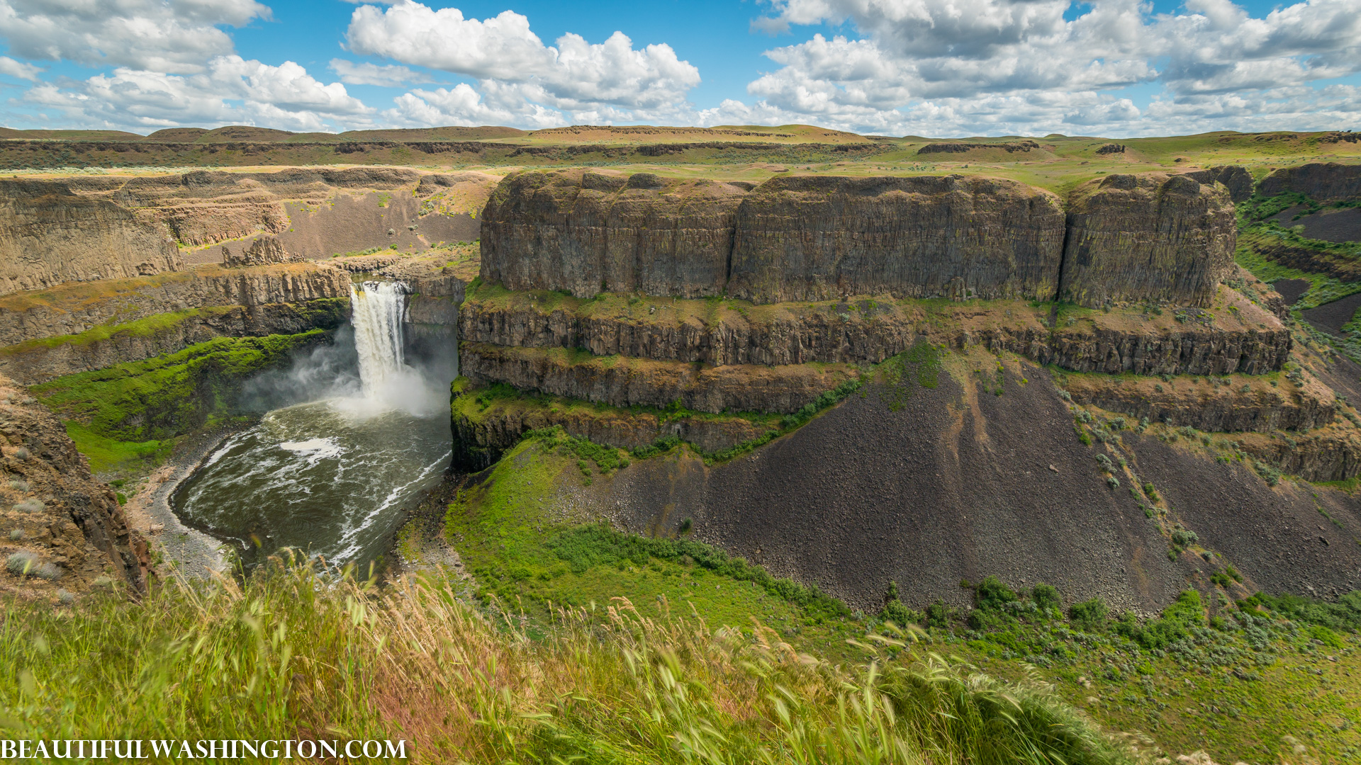 Photo from Washington State