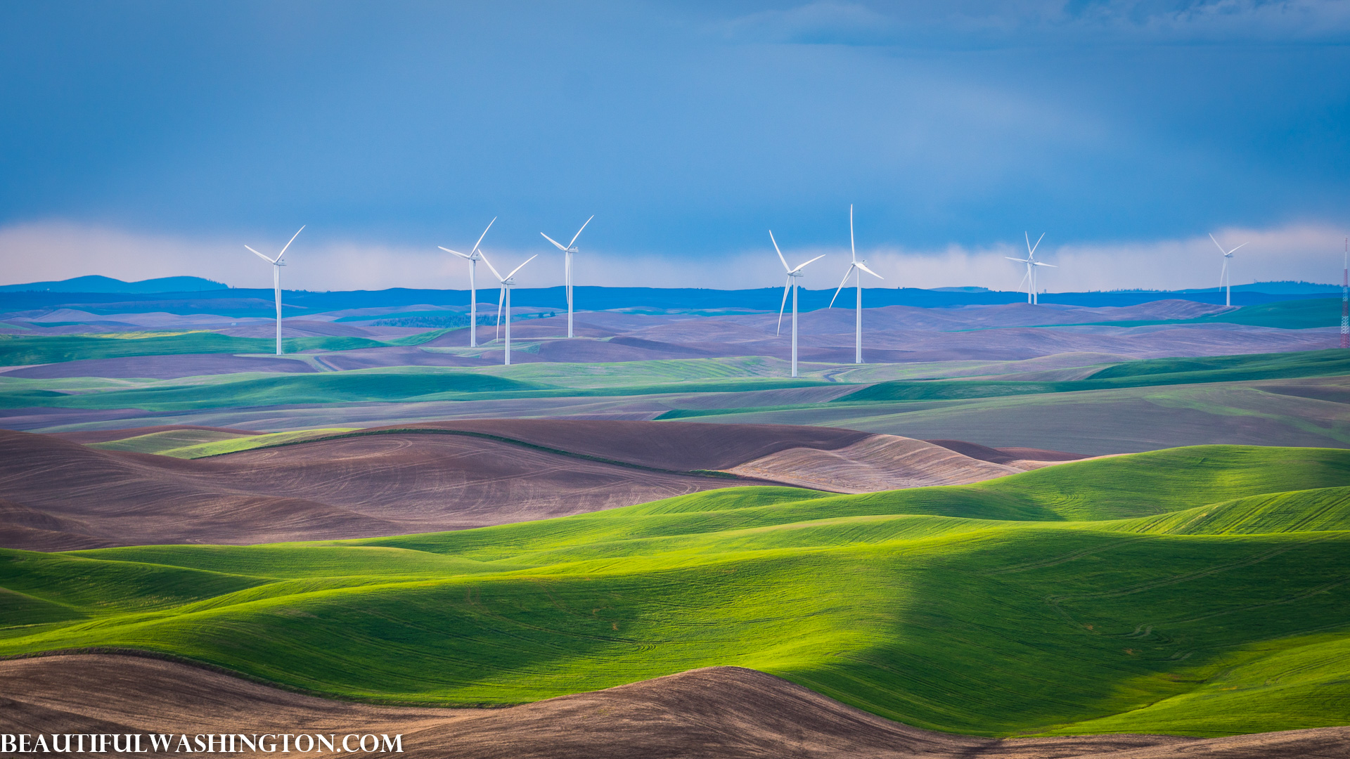 Photo from Washington State