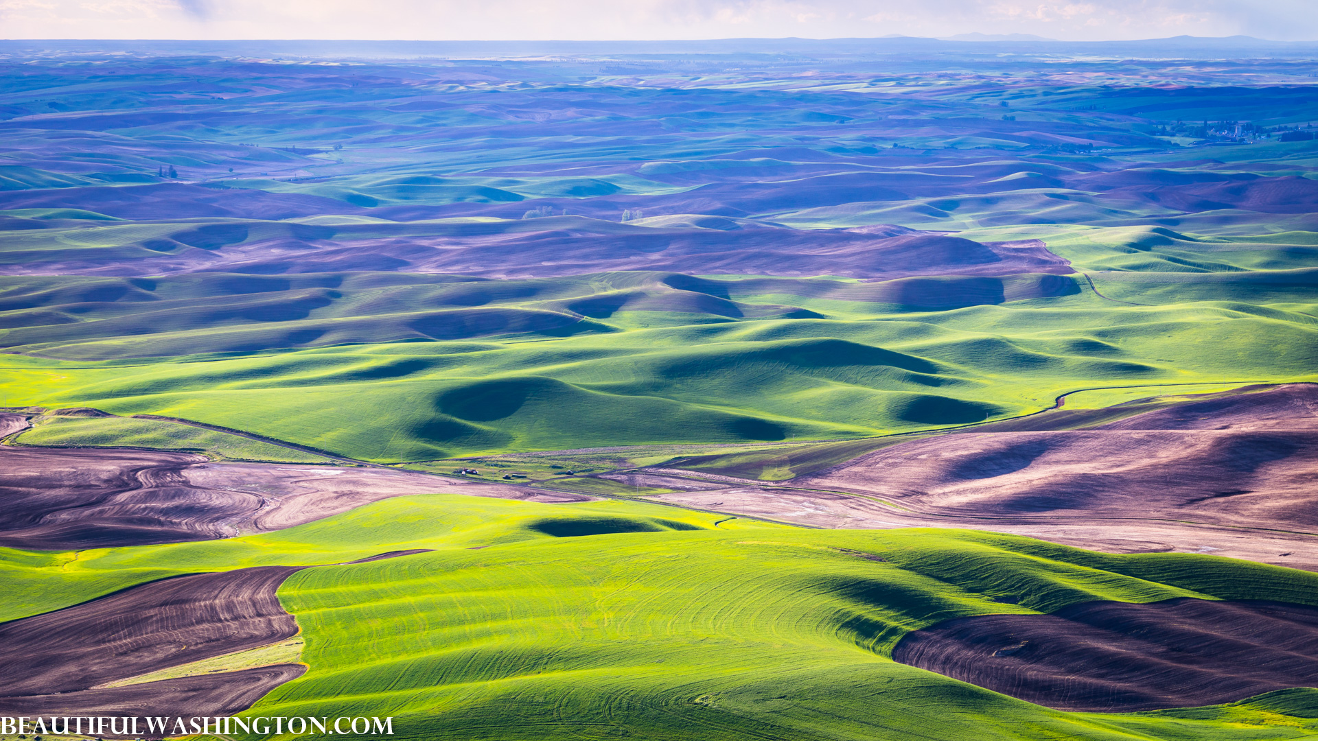 Photo from Washington State