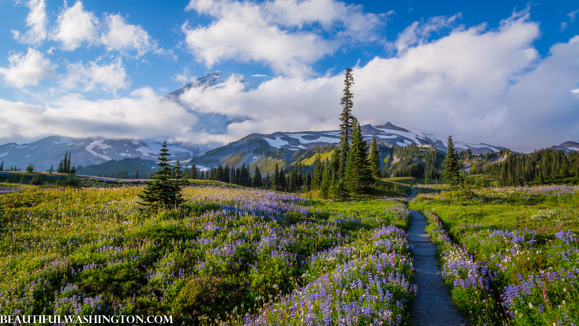 Photo from Washington State