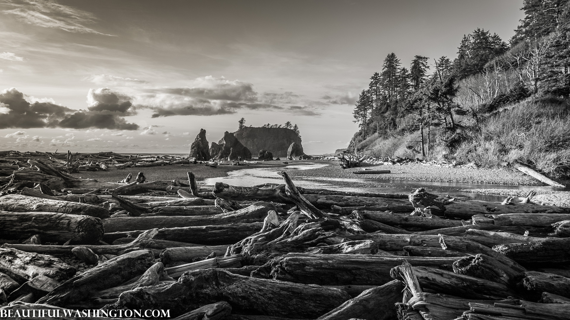Photo from Washington State