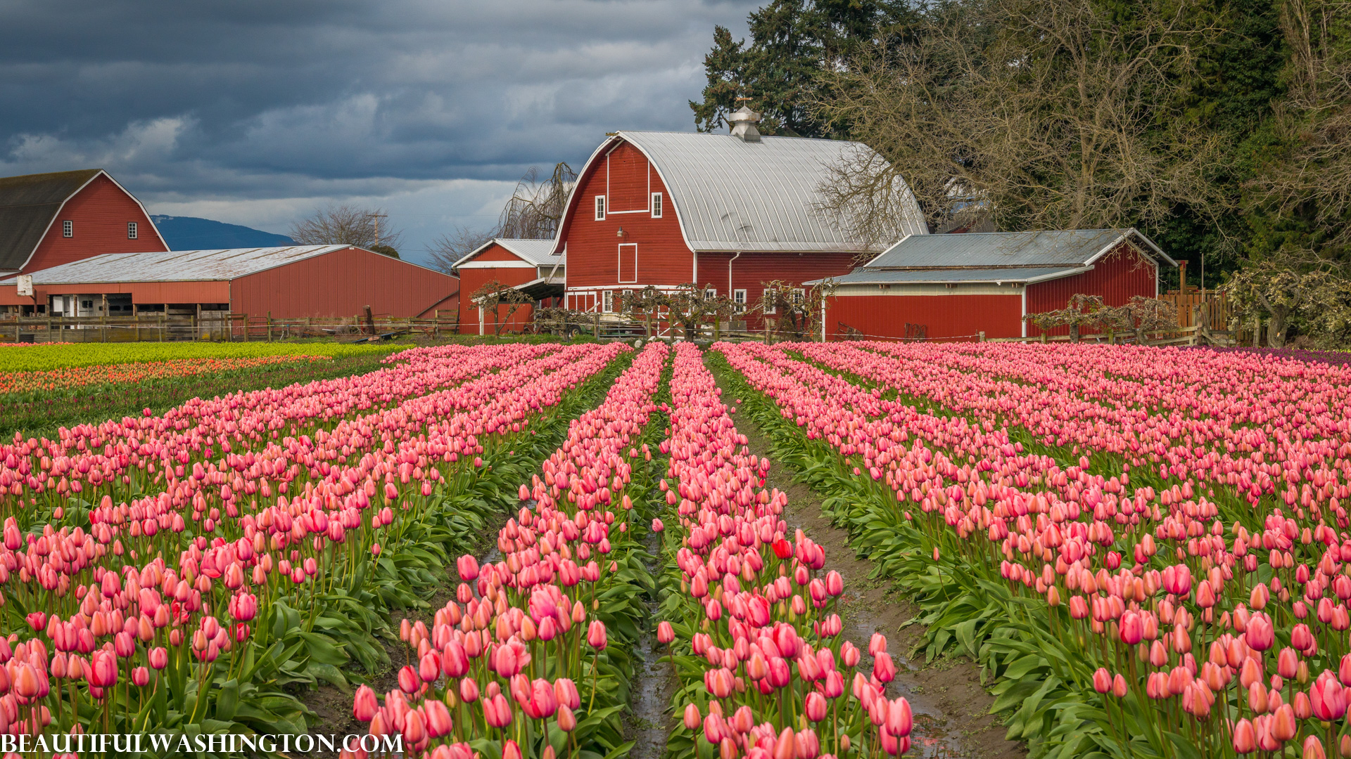 Photo from Washington State