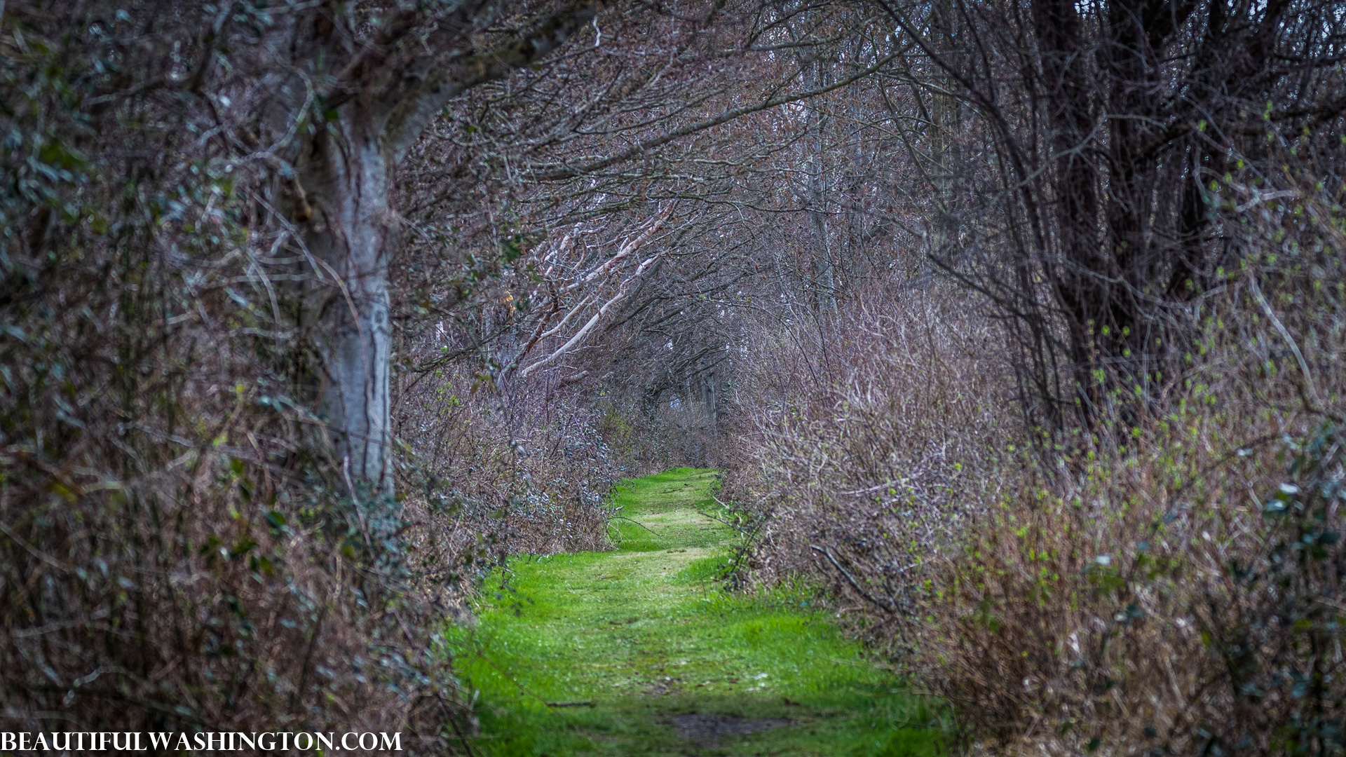 Photo from Washington State
