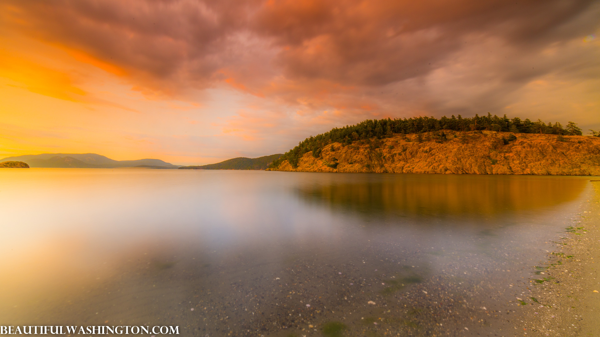 Photo from Washington State