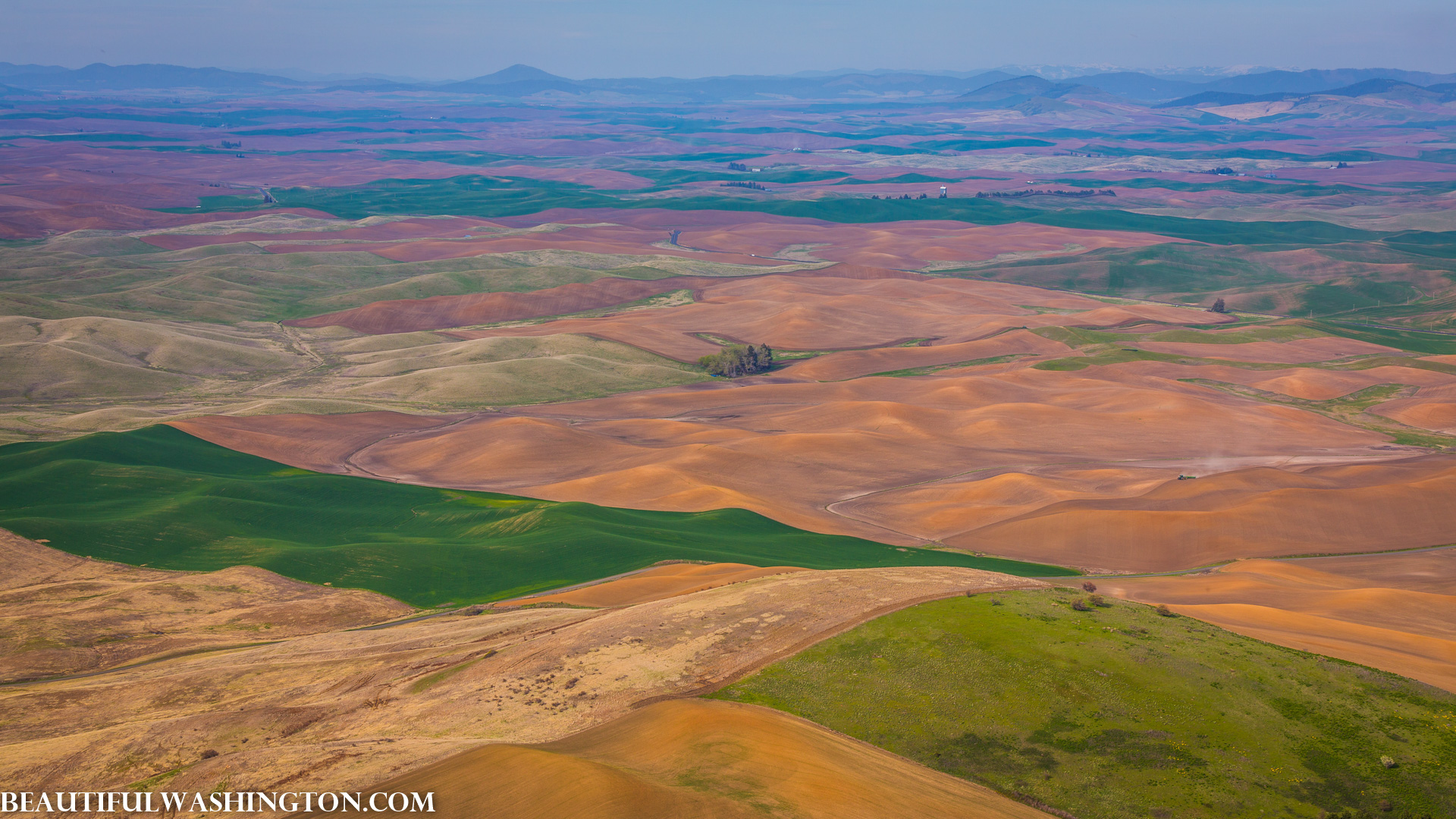 Photo from Washington State