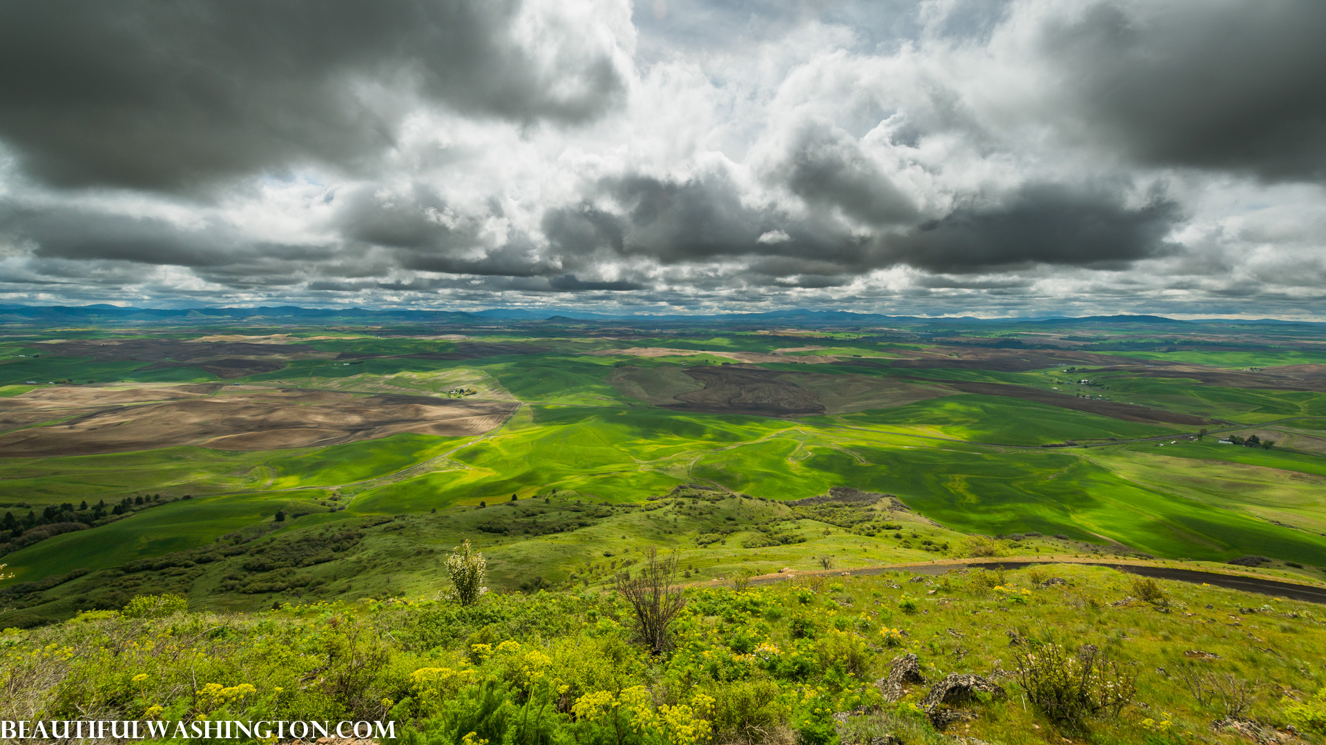 Photo from Washington State
