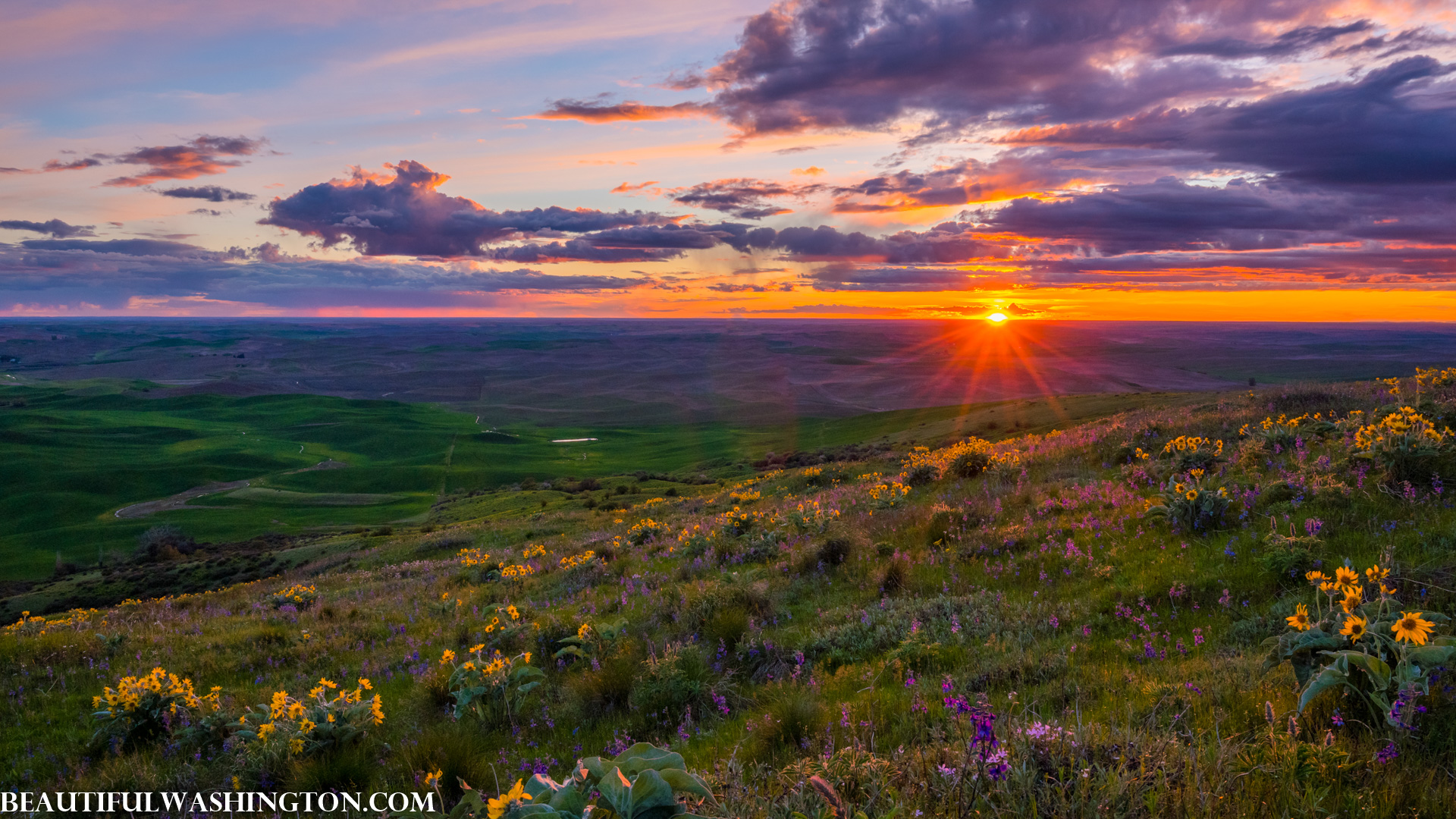 Photo from Washington State