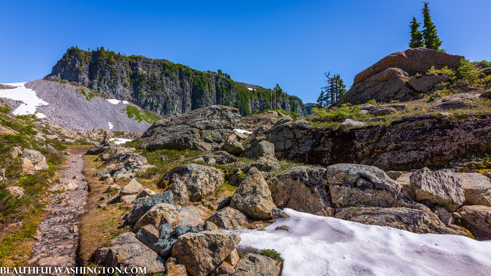 Photo from Washington State