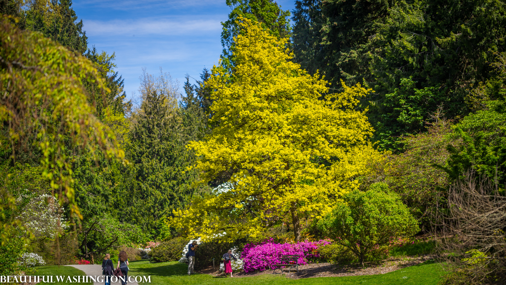 Photo from Washington State