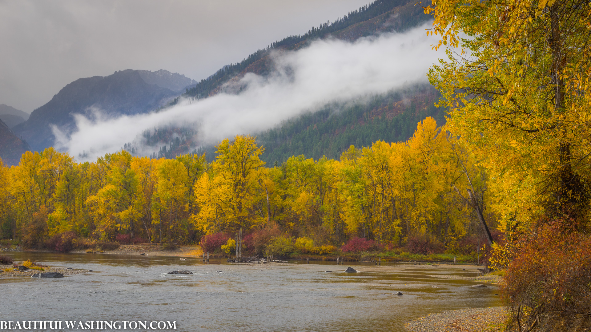 Photo from Washington State