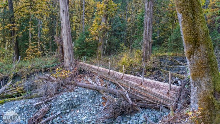 Baker River Trail, Autumn 121 Photo of the Baker River Trail, taken in autumn, North Cascades Region