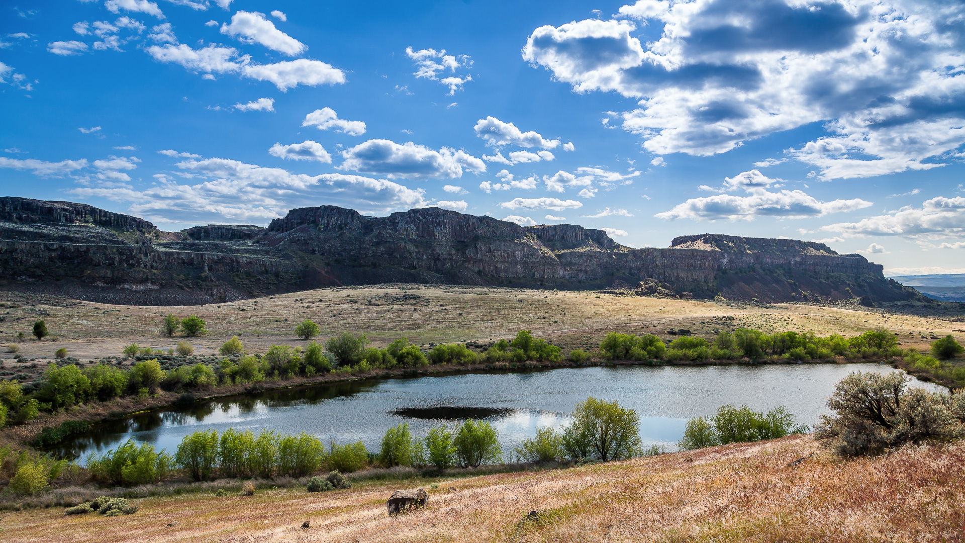 Proto from Washington State