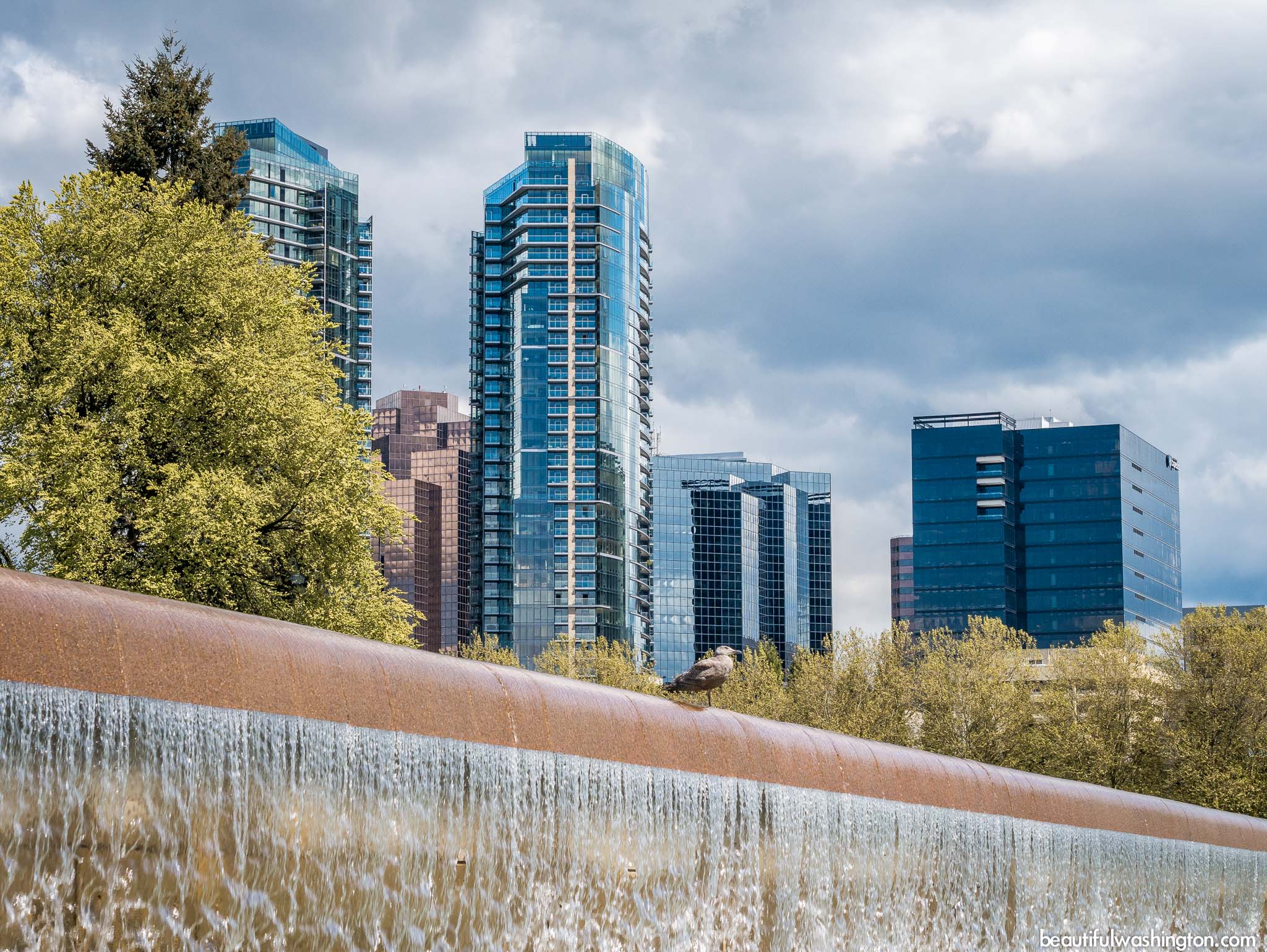 Bellevue Downtown Park 36