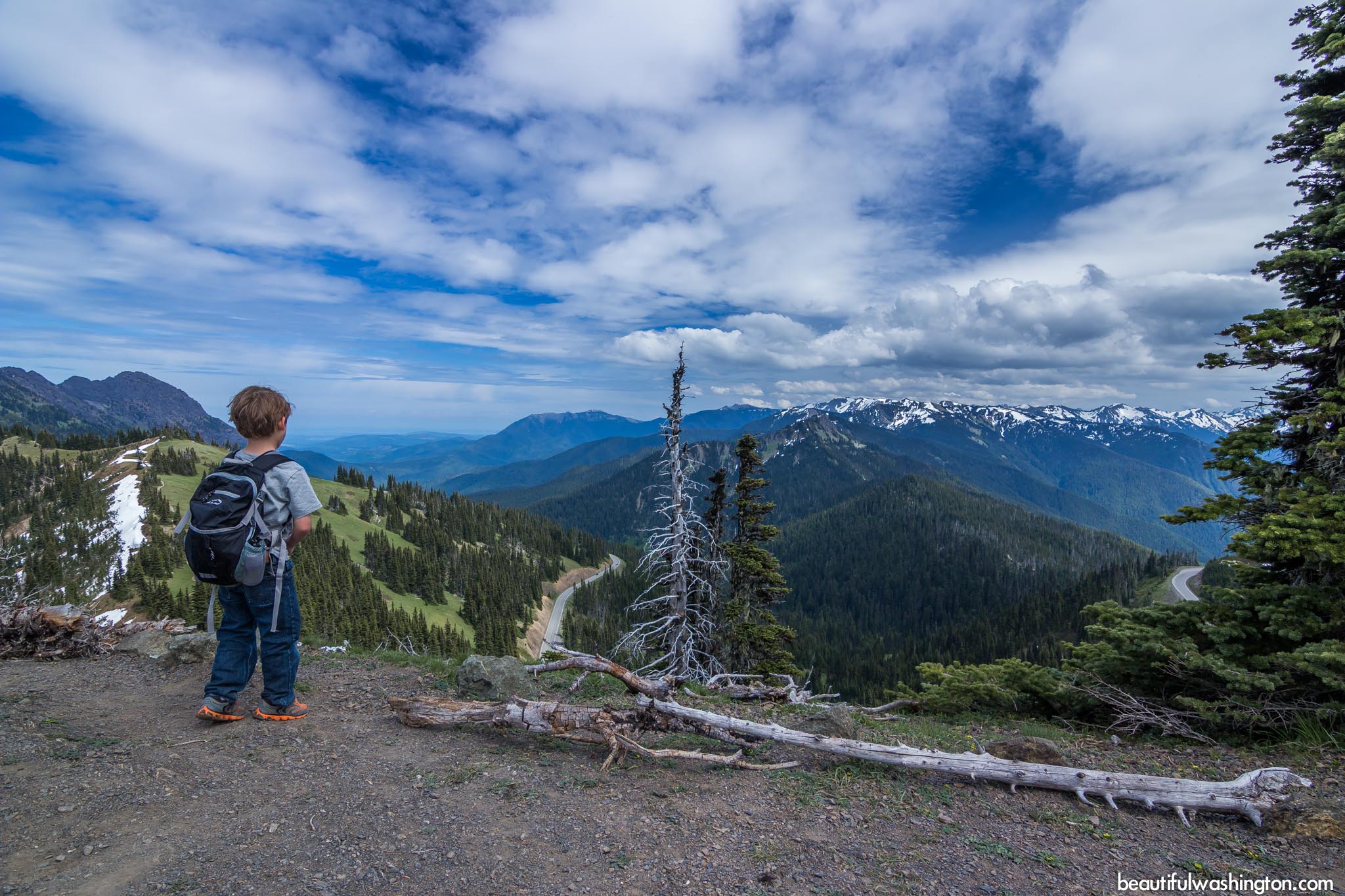 Big Meadow, Cirque Rim and High Ridge Trails 42
