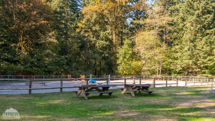 Photo taken at Bridle Trails State Park, King County, Eastside