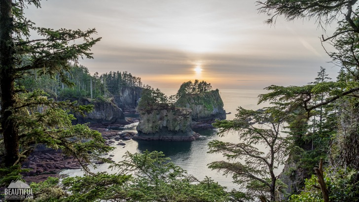 Cape Flattery Trail
