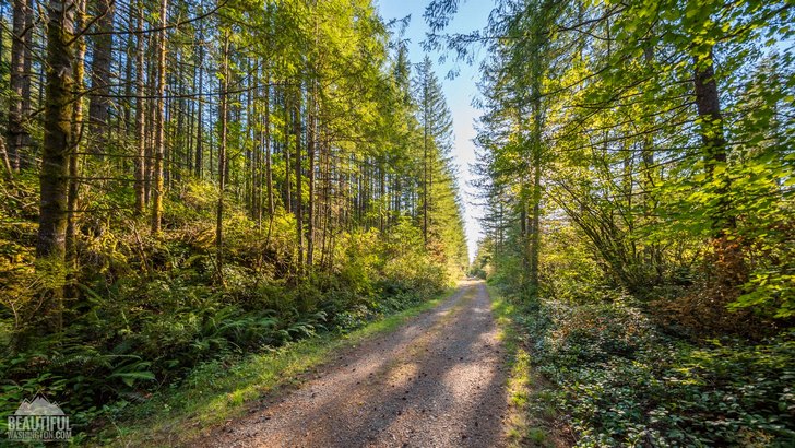 Photo taken at Cedar Butte Trail, Snoqualmie Region