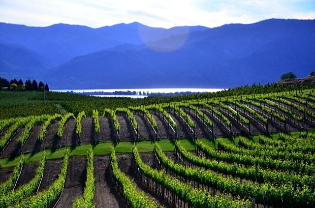 Chelan County