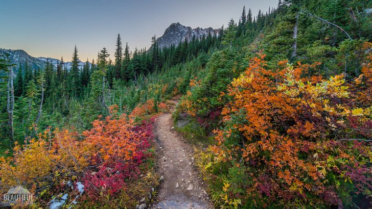 Cutthroat Pass Trail