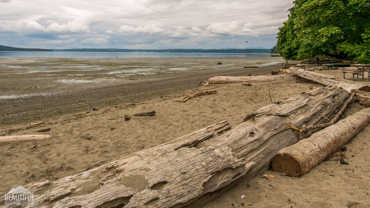 Dash Point State Park 6