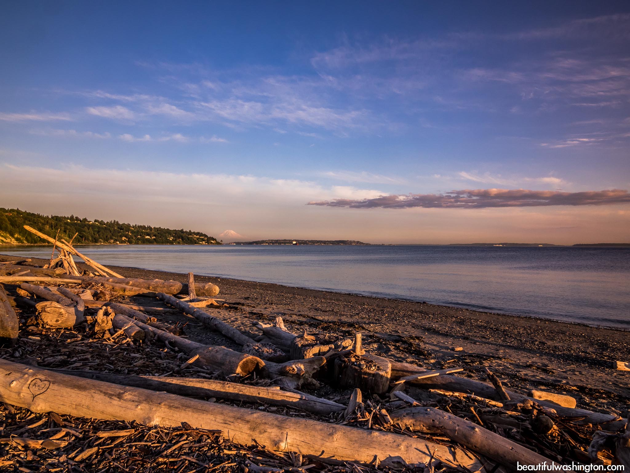 Discovery Park 55