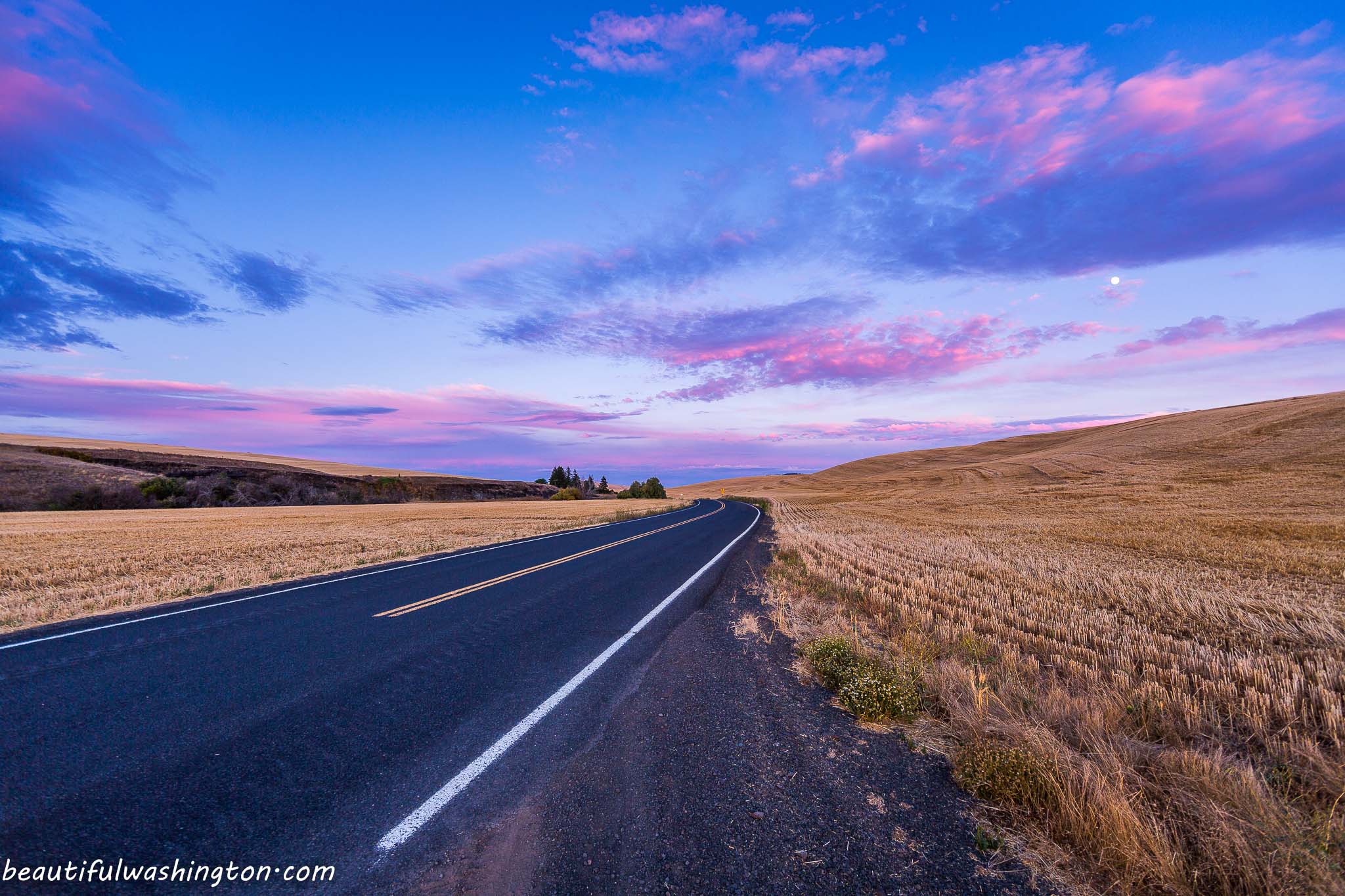 Palouse fields summer evening 07