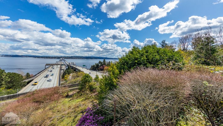Photo taken from Ferdinand Street Boat Launch , Seattle, Washington 