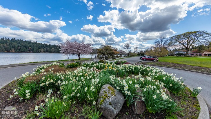 Photo taken from Ferdinand Street Boat Launch , Seattle, Washington 