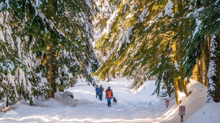 Winter beauty of the Franklin Falls Trail, Snoqualmie Region, North Bend Area