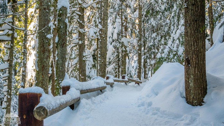 Winter beauty of the Franklin Falls Trail, Snoqualmie Region, North Bend Area